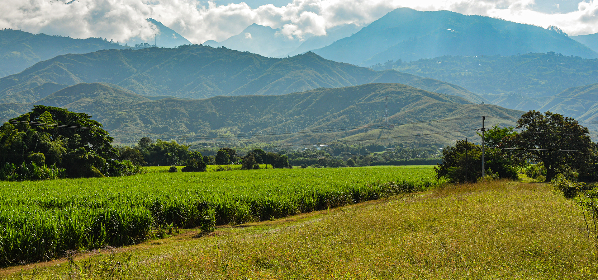 Cifras Castilla Agrícola